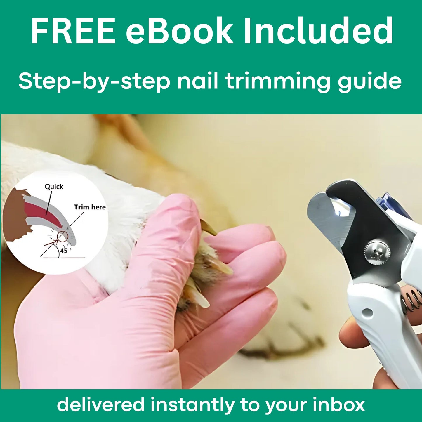 The PetSafe™ Nail Clipper