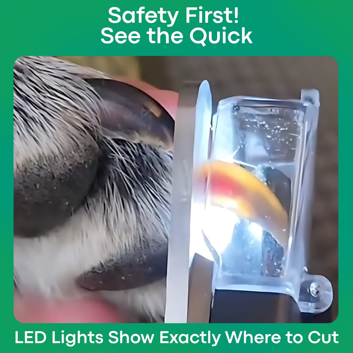 The PetSafe™ Nail Clipper