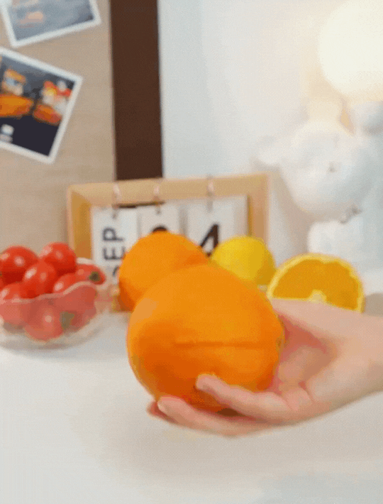 Cordless Cold Press Juicer