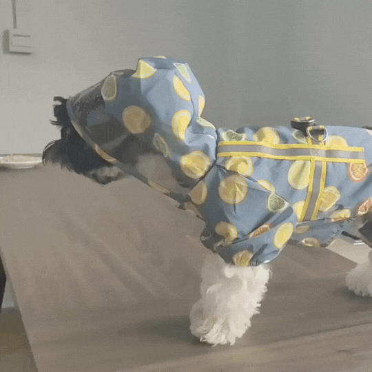 Dog Hooded Raincoat
