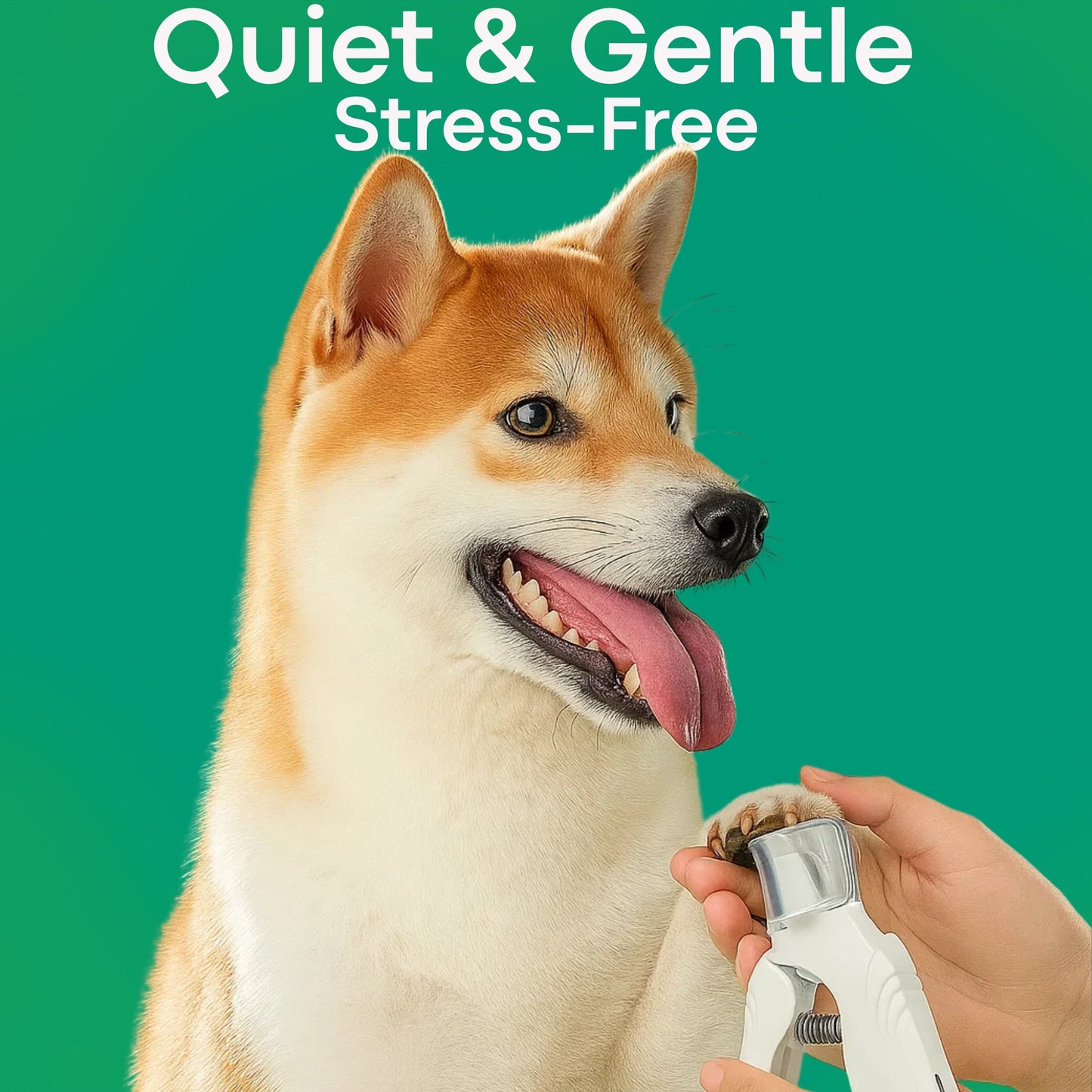 The PetSafe™ Nail Clipper