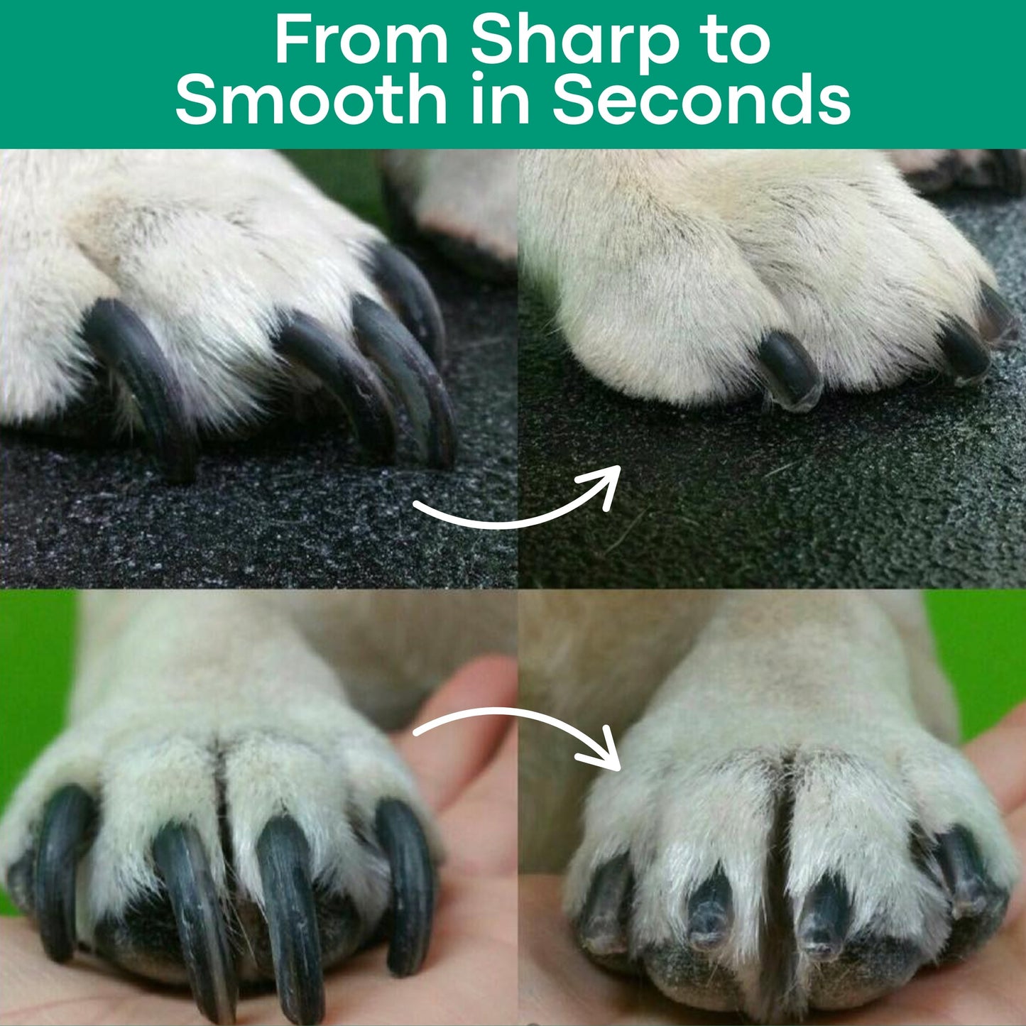 The PetSafe™ Nail Clipper