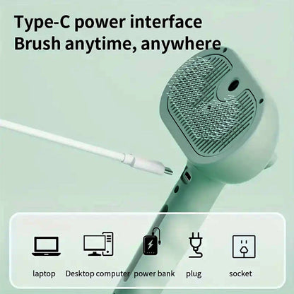 Pet Steam Brush