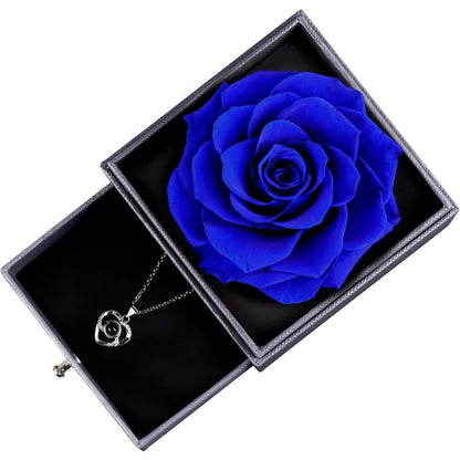 Ocosy Mothers Day Flower Gifts for Her, Preserved Real Flower Rose with Silver-Tone Heart Necklace I Love You in 100 Languages Gift Set, Enchanted Flower Rose Gifts, Blue Ocosy