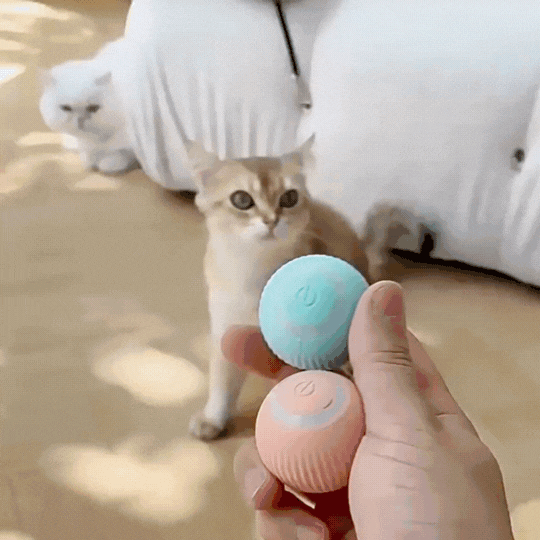 Smart Cat Ball