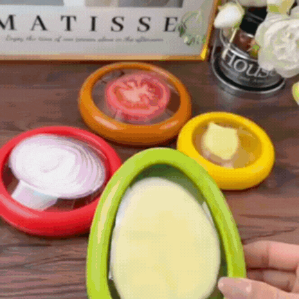 Food Preservation Box