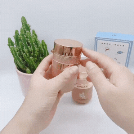 Air Cushion BB Cream with Butterfly Powder Puff