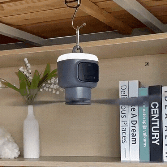 Portable Camping Fan with Light