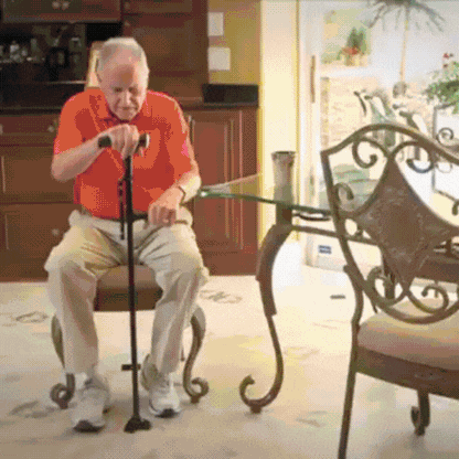 Telescopic Walking Stick