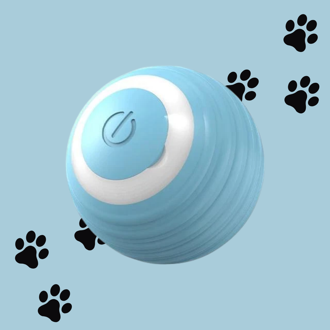 Smart Cat Ball