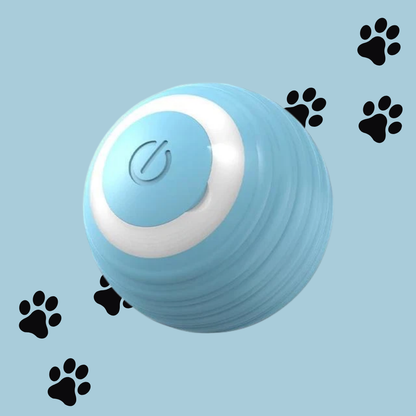 Smart Cat Ball