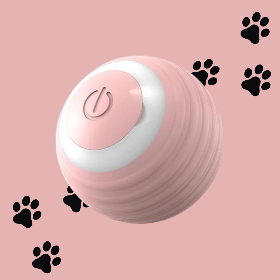 Smart Cat Ball