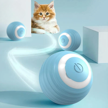 Smart Cat Ball