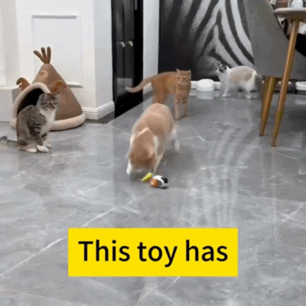 RC Cat Toy