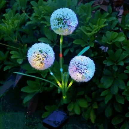Solar Dandelion Lights