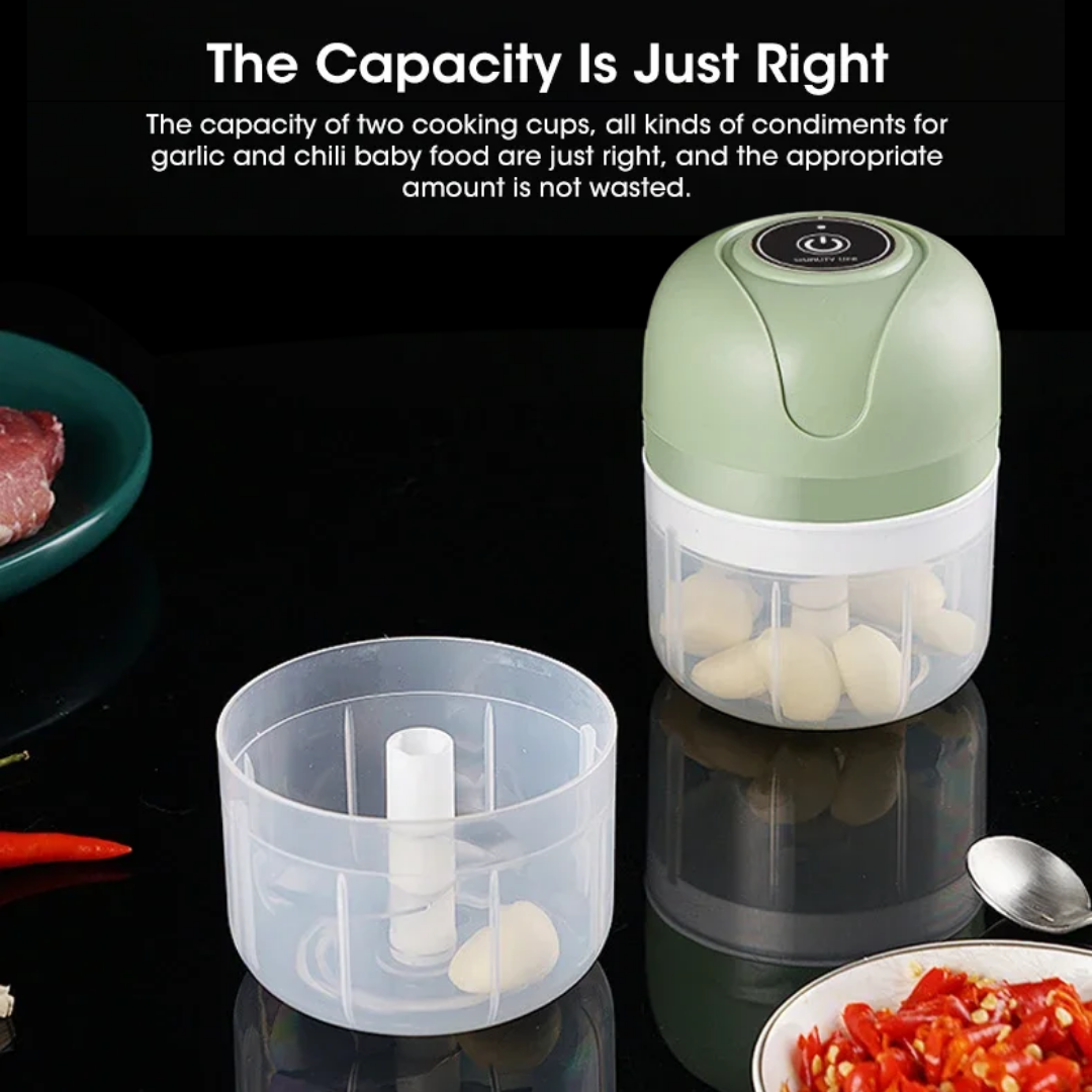 Mini Food Chopper