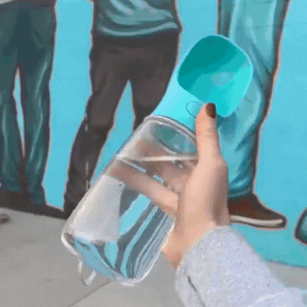 Dog Water Bottle & Feeder