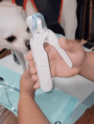 The PetSafe™ Nail Clipper - Crazy Productz
