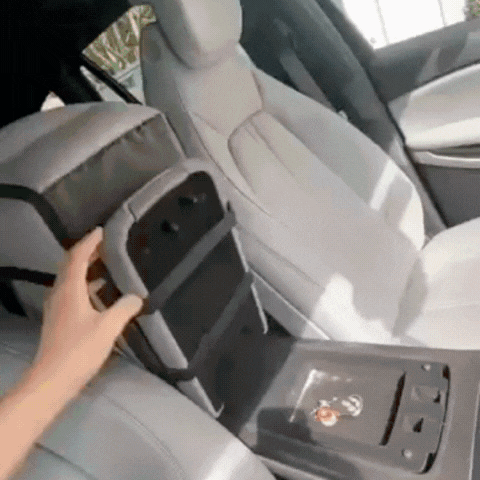 Pet Carrier Seat