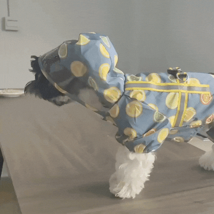 Dog Hooded Raincoat