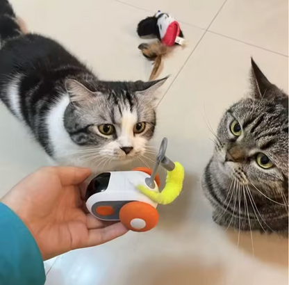 RC Cat Toy