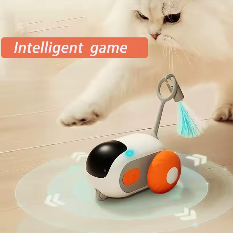 RC Cat Toy