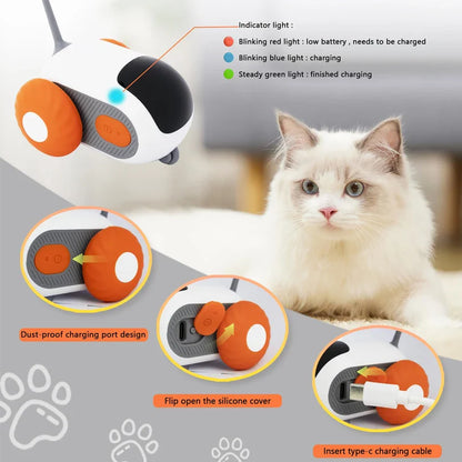 RC Cat Toy