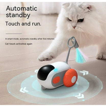 RC Cat Toy