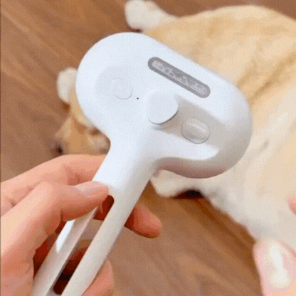 Pet Steam Brush