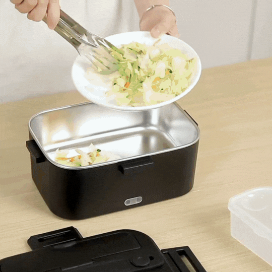 Portable Electric Lunch Box