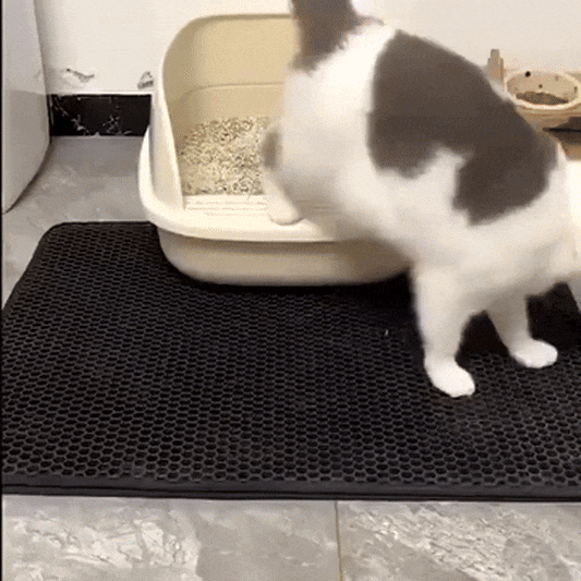 Cat Litter Mat