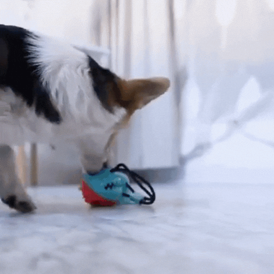 Chewy Ball - Dog Toy For Teeth Cleaning