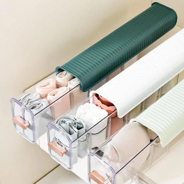 Wall-mounted Clear Organizer