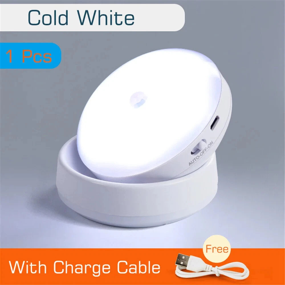 Glowing Motion Sensor Light