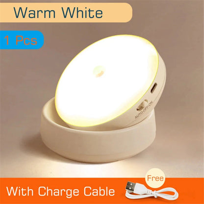 Glowing Motion Sensor Light
