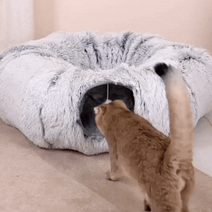 Cat Tunnel Bed