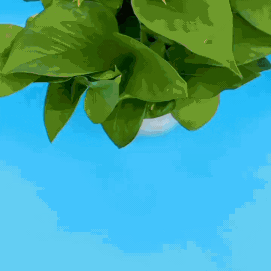 Portable Mini Washing Machine